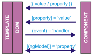 Angular Data Binding