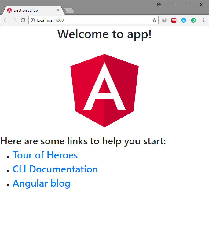 Angular View after bootstrap installed.