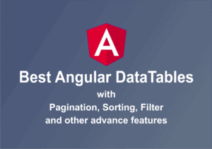 Best Angular DataTables